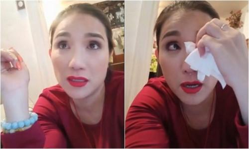 Quyền Linh - Cát Tường: Tranh thủ bán hàng online kiếm thêm thu nhập sau những phút giây rực rỡ trên sân khấu-8