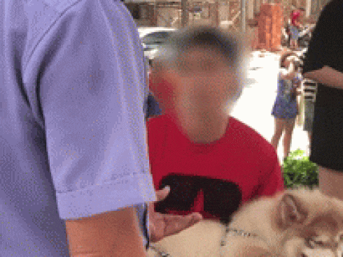 Thanh niên Việt kiều dắt chó đi dạo không rọ mõm lên tiếng: Khinh tôi, tôi mới chửi-3