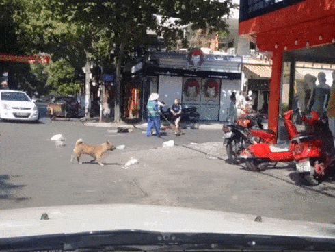 Cô gái đánh lao công xin lỗi nhưng vẫn cho rằng clip chưa đúng sự thật-3