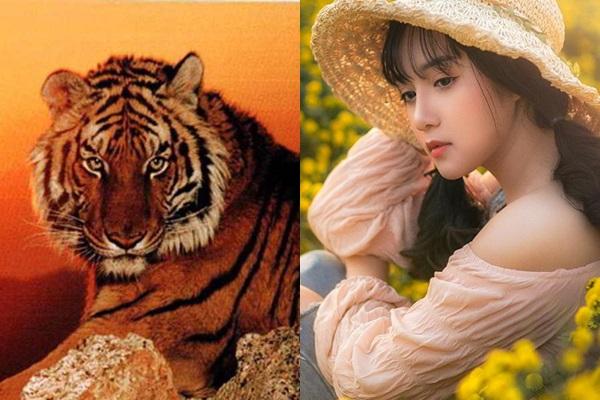 3 con giáp có số xuất ngoại, làm ăn xa nửa cuối năm 2019 nhưng giàu có mỹ mãn-2