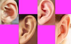 Xem tướng tai của phụ nữ nhìn thấu vận mệnh cả đời: Hưởng no nê tài lộc hay dính hoạ thị phi?