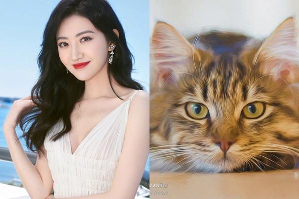 3 con giáp được Thần Phật che chở, gặp dữ hóa lành, nhìn đâu cũng thấy tiền-1