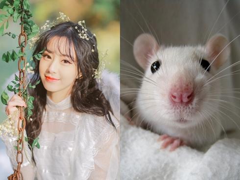 3 con giáp đổi đời ngoạn mục, chớp mắt thành tỷ phú trong 10 ngày cuối tháng 5/2019-4