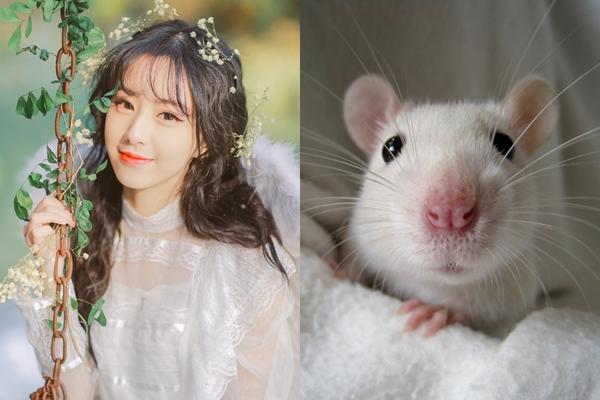 3 con giáp trúng quả trời cho, giàu nhanh như vũ bão trong tháng 6/2019-1