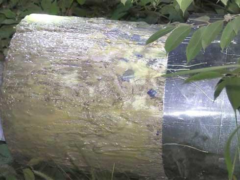 Hai thi thể trong thùng bê tông: Truy tìm nhóm người cùng tu luyện giáo phái lạ-6