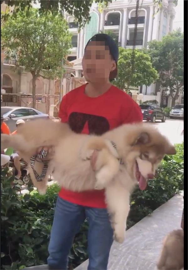 Việt kiều khoe chó nằm máy lạnh bị phạt 700 nghìn đồng-2