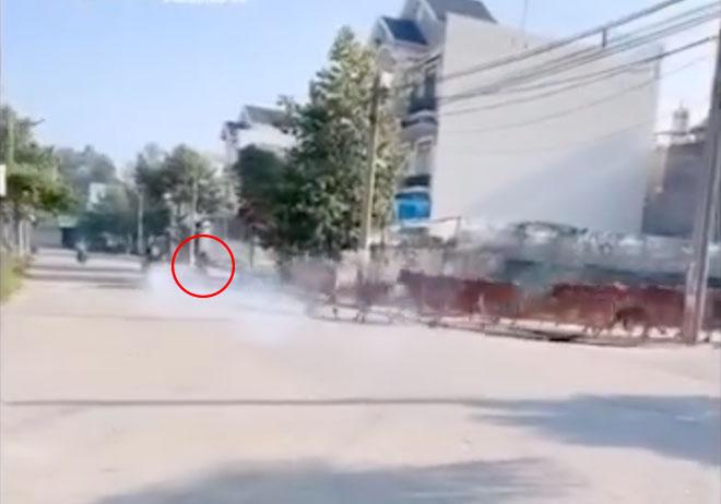 Clip: ‘Quái xế’ thích thể hiện, nẹt pô ầm ĩ trên đường liền bị cả đàn bò truy đuổi chạy bán sống, bán chết-1