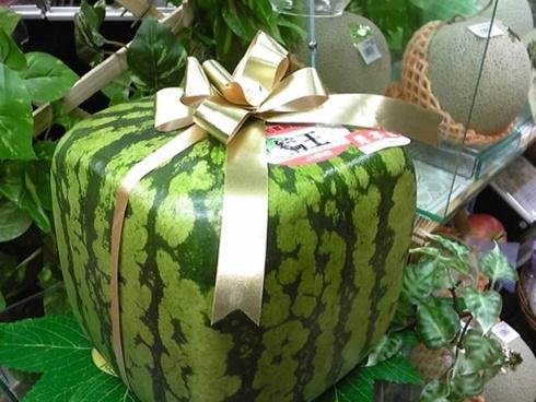 Top trái cây đắt đỏ nhất thế giới, loại đứng đầu có giá bằng 1 chiếc ô tô-6