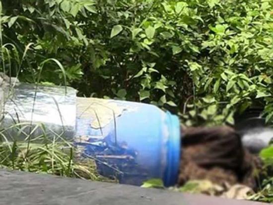 Giáp mặt với 4 nghi can giết người phi tang xác ở Bình Dương