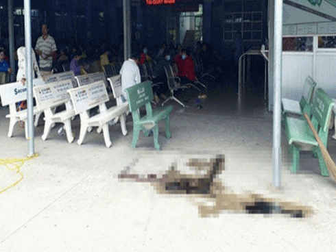 Nghi vợ có bồ, chồng gây án mạng trong bệnh viện