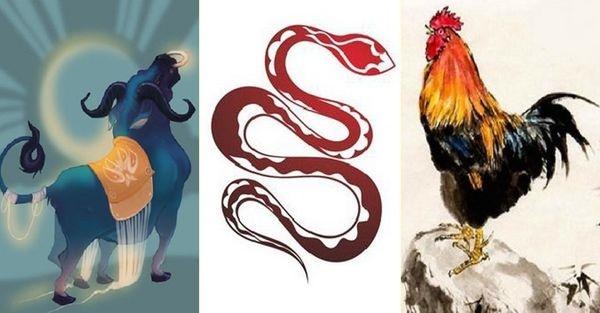 4 cụm con giáp tam hợp lấy nhau sẽ hạnh phúc suốt đời, thu hết tài lộc trong thiên hạ-2