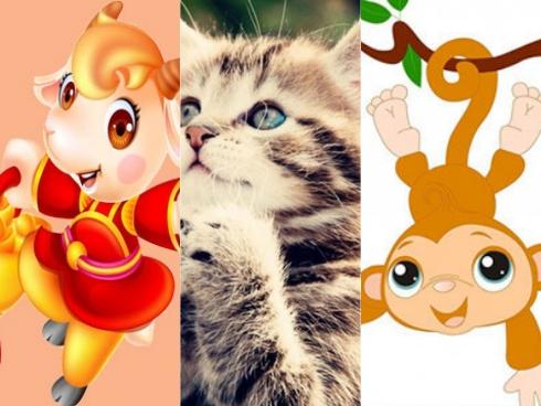 Lấy chồng thuộc con giáp này an tâm hưởng phúc, càng già càng giàu-4