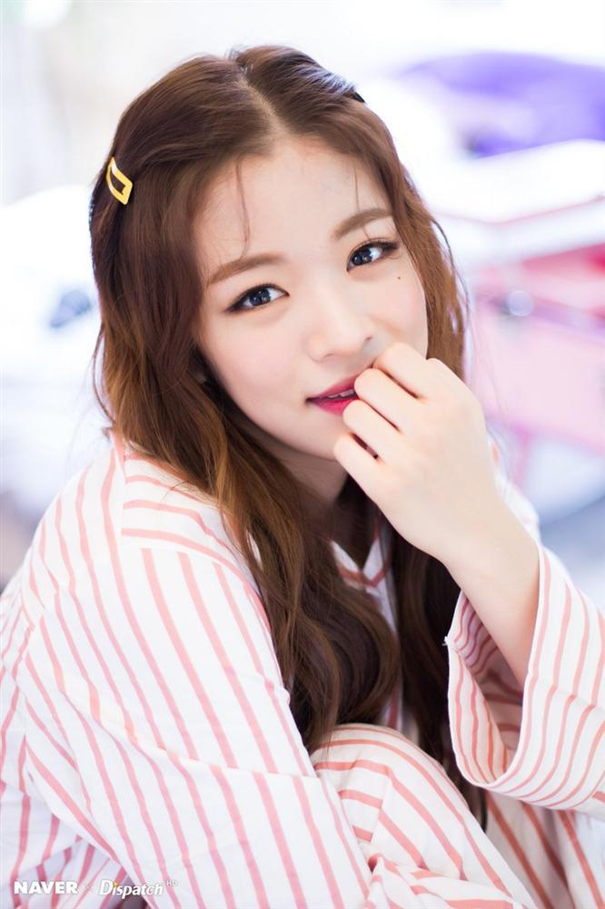 Tử vi tuần mới của 12 con giáp từ 27/5/2019 - 2/6/2019: Thân gặp nhiều điều bất ngờ, Dậu mệt mỏi chuyện tình cảm-1