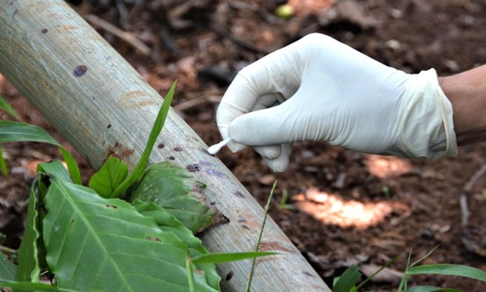 3 bà cháu bị sát hại ở Lâm Đồng: Bà con xa 10 năm mới gặp tiết lộ thông tin bất ngờ-2