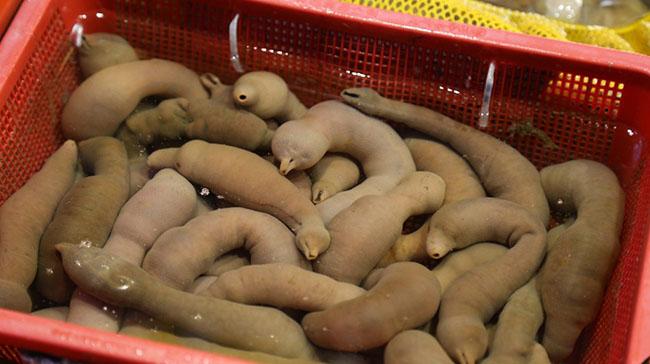 Những món ăn kỳ dị của Hàn Quốc-4