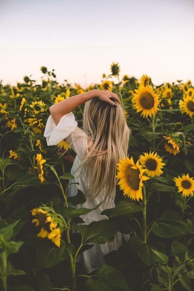 Tử vi thứ Tư ngày 5/6/2019 của 12 con giáp: Dần có hẹn quan trọng, Thìn tài lộc hanh thông-2