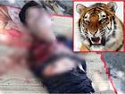 Kinh hoàng: Người đàn ông bị hổ cắn đứt lìa 2 cánh tay trong khu du lịch sinh thái