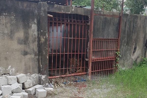 Điều tra vụ người đàn ông bị hổ cắn đứt 2 cánh tay-1