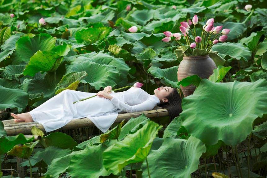 5 địa điểm chụp sen tuyệt đẹp quanh Hà Nội mùa hè này-3