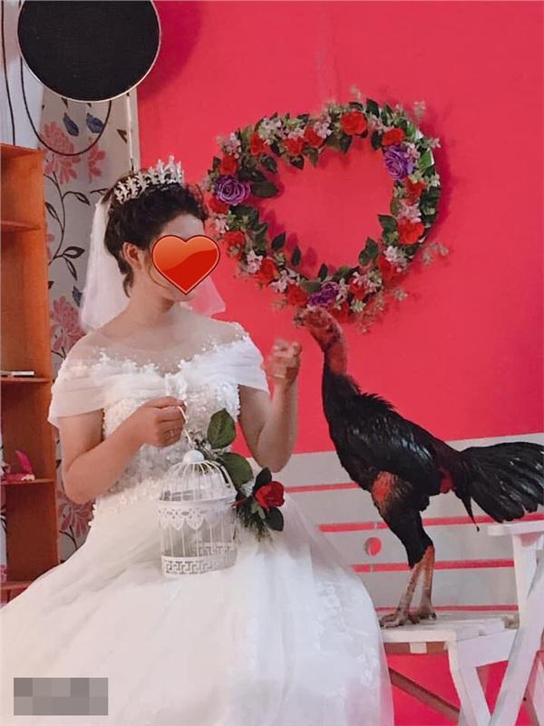Cặp đôi mang gà đi chụp ảnh cưới, độc đẹp chưa thấy đâu, chỉ thấy chủ studio khóc thét vì mùi lạ-2