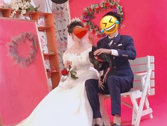 Cặp đôi mang gà đi chụp ảnh cưới, độc đẹp chưa thấy đâu, chỉ thấy chủ studio 'khóc thét' vì mùi lạ