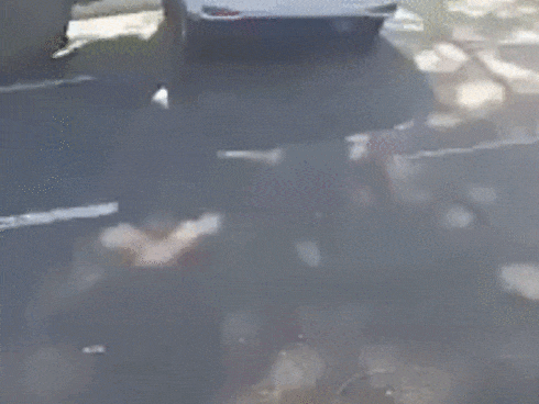 Clip: Người phụ nữ trung tuổi bị 4 thanh niên lực lưỡng ném gạch, đấm đá túi bụi-8