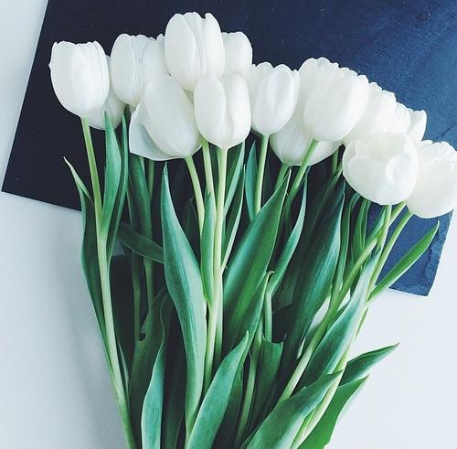 Tử vi thứ Bảy ngày 8/6/2019 của 12 con giáp: Ngọ liên tục bị chơi xấu, Mùi gặp may mắn về tài lộc-4