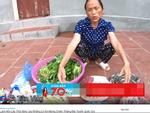 Bà Tân Vlog tiếp tục được ghi danh vào Tổ chức kỷ lục Việt Nam-4