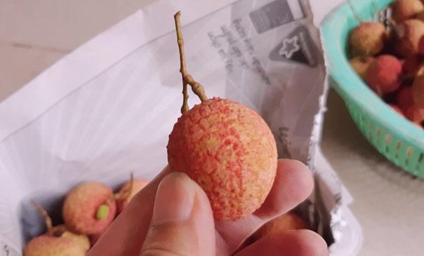 Cách bảo quản vải thiều tươi ngon đến Tết-2