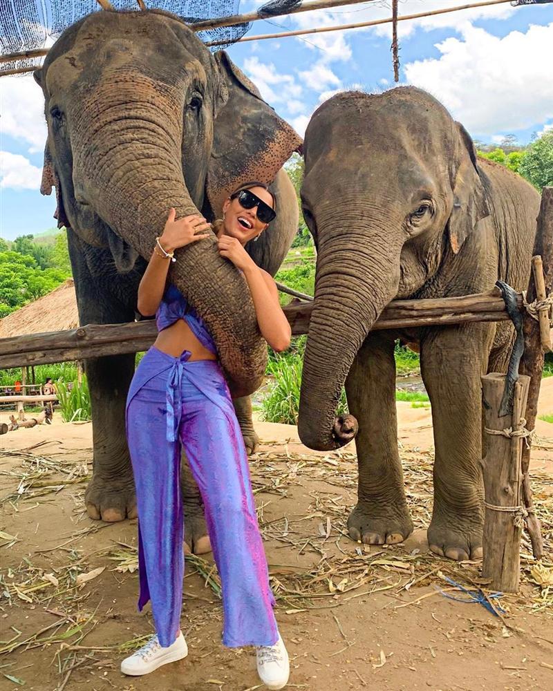 Bản tin Hoa hậu Hoàn vũ 7/6: Sắc đẹp Phạm Hương chỉ bằng một góc của hoa hậu cuối cùng triều đại Donald Trump-10