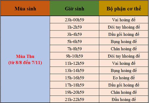 Xem bói giờ sinh theo cơ thể Hoàng Đế đoán vận mệnh tương lai hạnh phúc hay gian truân-3