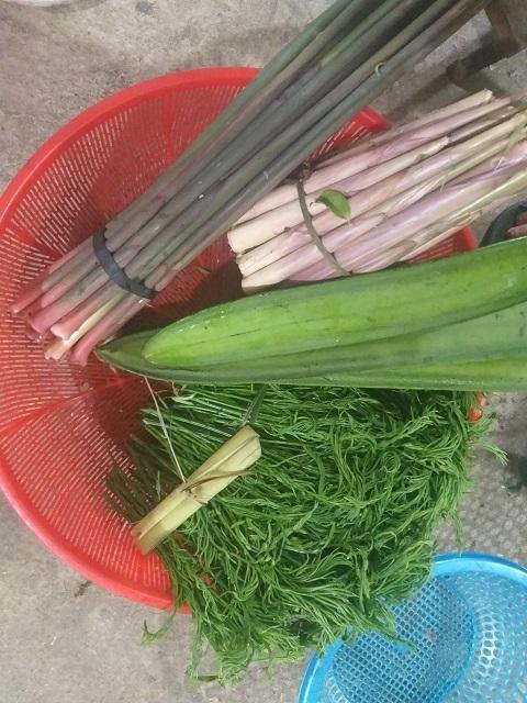 Món nộm rau rừng đặc sản Tây Bắc gây thương nhớ-1