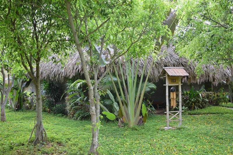 Cụ ông 80 tuổi mất căn nhà 5 tỷ vì mê cô gái bán cà phê-1