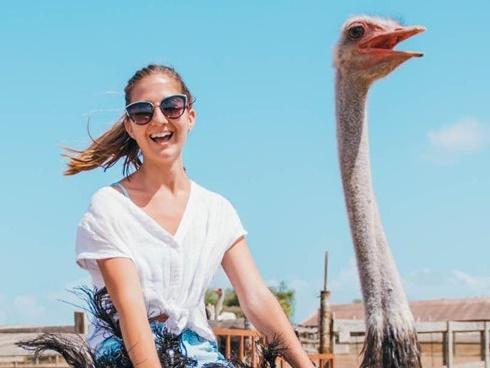 Cưỡi đà điểu ở Curacao giá 56 USD khiến du khách thích thú