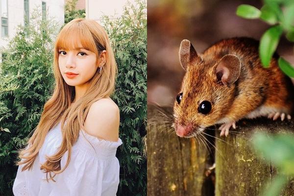 7 ngày tới: 3 con giáp hốt sạch lộc Trời, cầu được ước thấy, tiền về chật ví-1