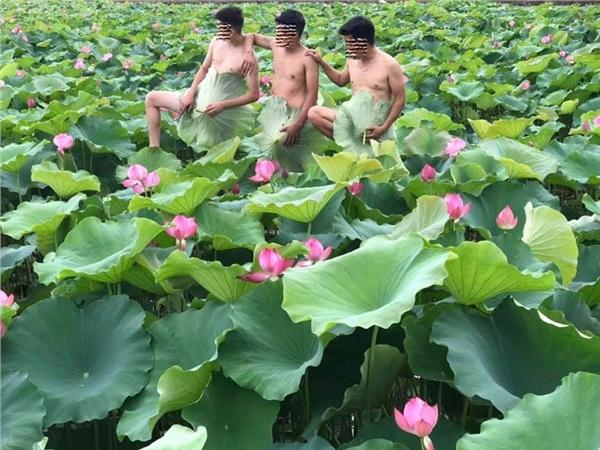 Đầu tuần đã nóng nực, dân tình lại phát rồ với bộ ảnh cô gái ở Hà Nội cởi sạch khoe thân dưới hồ sen-3