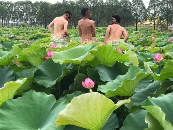Đầu tuần đã nóng nực, dân tình lại phát rồ với bộ ảnh cô gái ở Hà Nội cởi sạch khoe thân dưới hồ sen-4