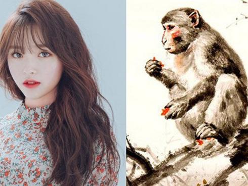 Top 4 con giáp trời sinh đã tốt số thi cử, hễ thi là đậu khiến người khác ghen tị không ngớt