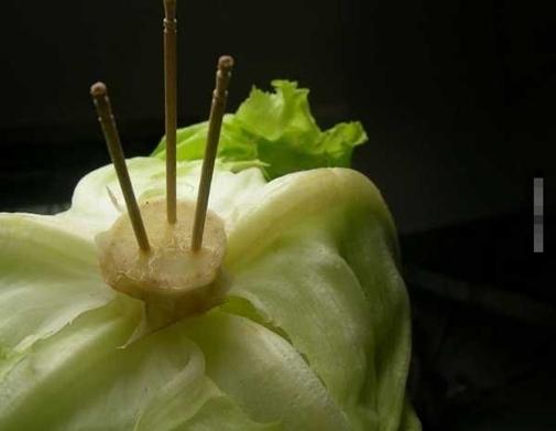 Mách mẹ mẹo vàng giúp bảo quản rau củ quả tươi lâu trong mùa hè nắng nóng-2