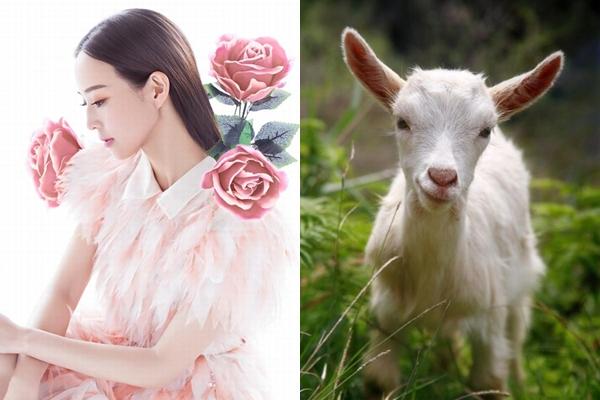 Giữa tháng 6 dương lịch, 3 con giáp này cần đề phòng tai bay vạ gió, tiền mất tình tan-3