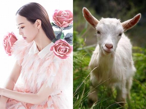 Qua rằm tháng 5 âm lịch: 3 con giáp nắm tiền tỷ trong tay, giàu có hết phần thiên hạ-4