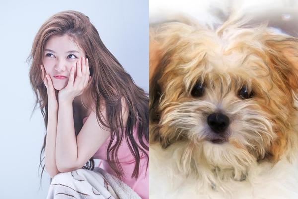 Qua rằm tháng 5 âm lịch: 3 con giáp nắm tiền tỷ trong tay, giàu có hết phần thiên hạ-3