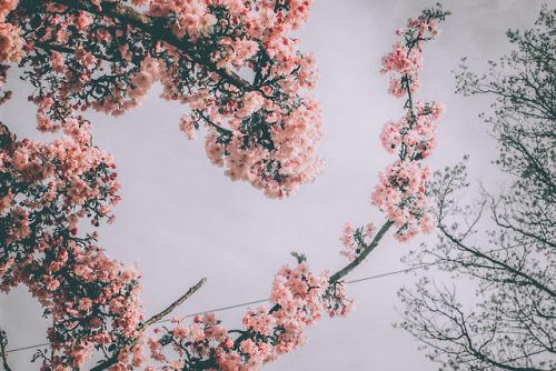 Tử vi thứ Tư ngày 12/6/2019 của 12 con giáp: Mão tìm được tình yêu như ý, Tỵ cẩn thận tài chính tổn hao-4