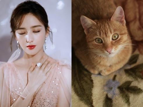 Qua rằm tháng 5 âm lịch: 3 con giáp cẩn thận thị phi, tiểu nhân quấy phá, mất mát tiền bạc