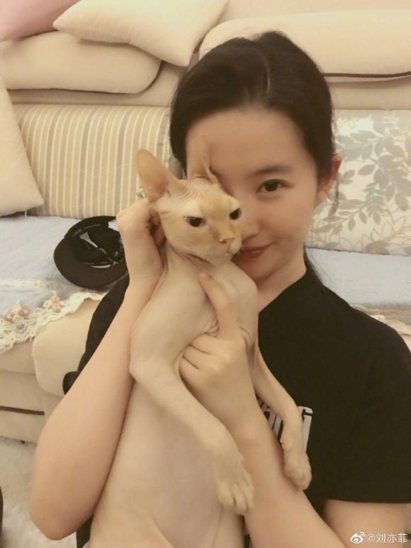 Ảnh cũ đẹp như trong tranh thế này, bảo sao Lưu Diệc Phi luôn được tôn vinh là tường thành nhan sắc Hoa ngữ-5