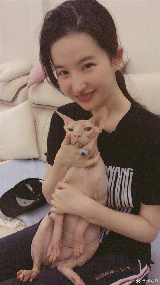 Ảnh cũ đẹp như trong tranh thế này, bảo sao Lưu Diệc Phi luôn được tôn vinh là tường thành nhan sắc Hoa ngữ-6