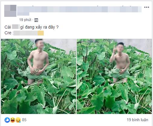 Giữa bão chụp ảnh hoa sen, lại xuất hiện chàng trai khoe thân ở bãi khoai nước khiến dân mạng cạn lời-1