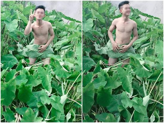 Giữa 'bão' chụp ảnh hoa sen, lại xuất hiện chàng trai khoe thân ở bãi khoai nước khiến dân mạng cạn lời