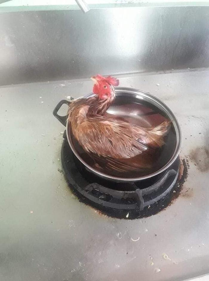 Cháo gà cả lông, cá rán cả con chưa mổ, nhìn thôi đã khóc thét nói gì đến ăn...-3