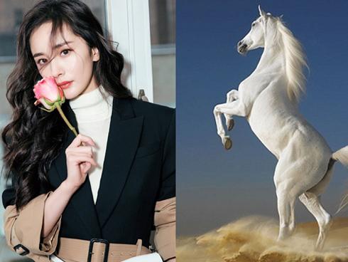 Muốn biết số điện thoại đang dùng có hợp với mình hay không, hãy thử nhìn 4 số cuối...-4